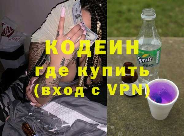 индика Ладушкин