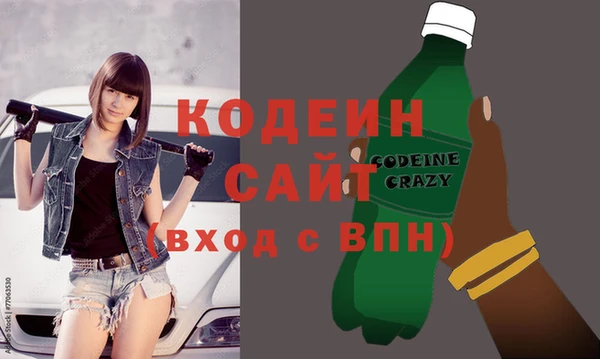 индика Ладушкин