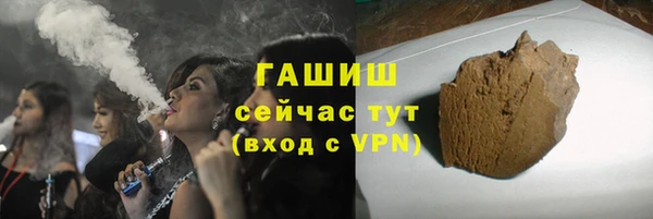 индика Ладушкин