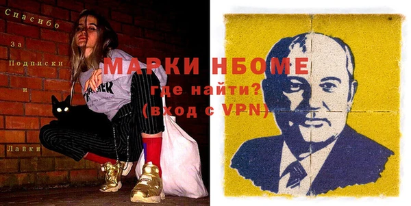 индика Ладушкин