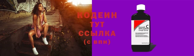 дмт Лагань