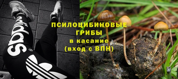 дмт Лагань