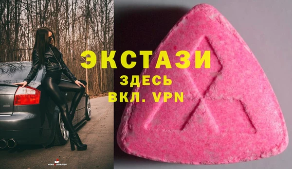 индика Ладушкин