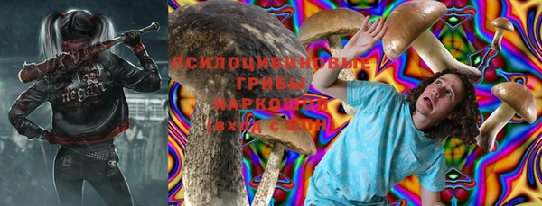 дмт Лагань