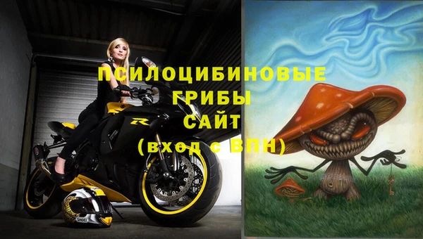 индика Ладушкин