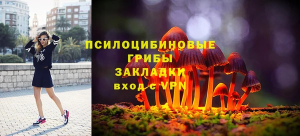 дмт Лагань