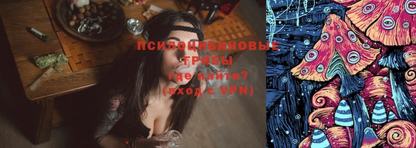 индика Ладушкин