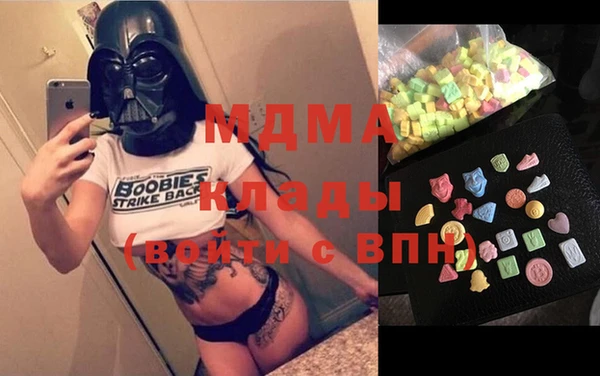 индика Ладушкин