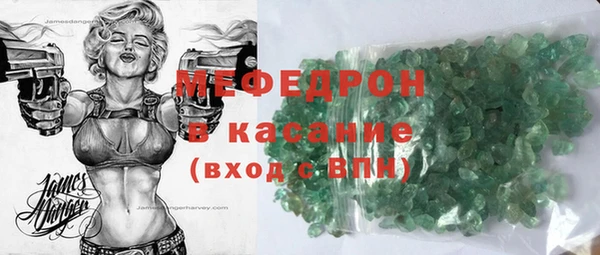 индика Ладушкин