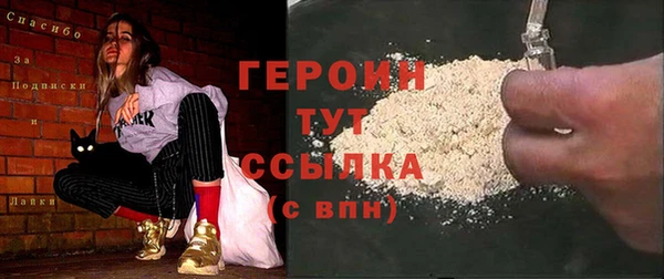 индика Ладушкин