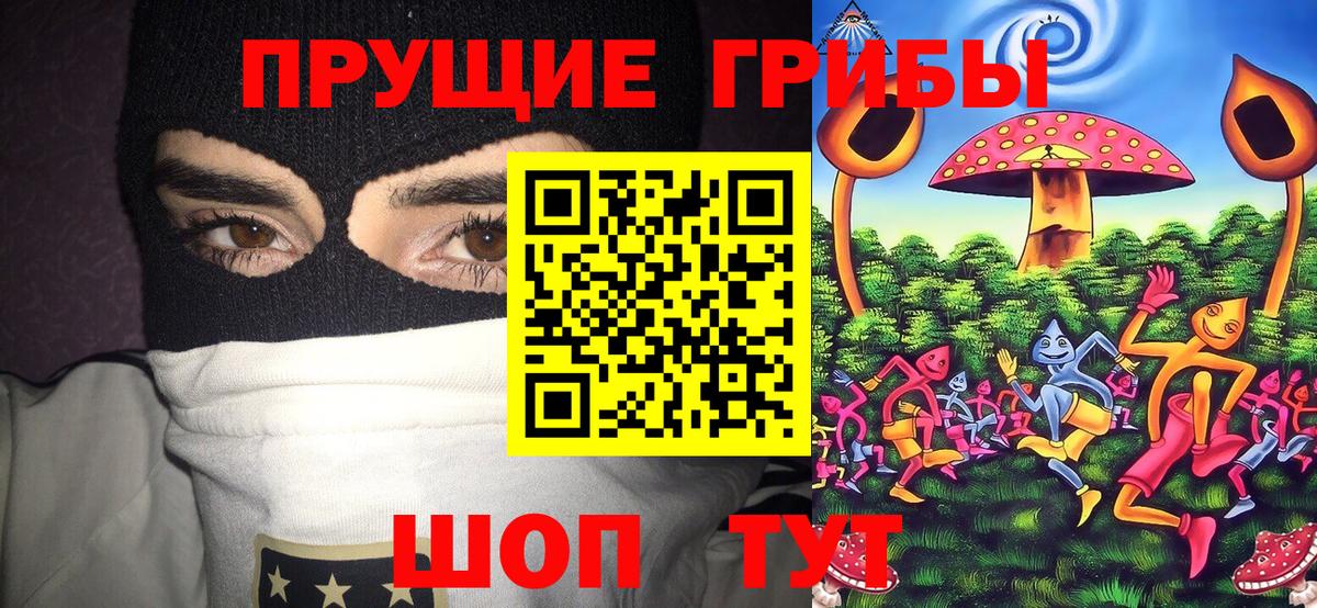 LSD-25 Альметьевск