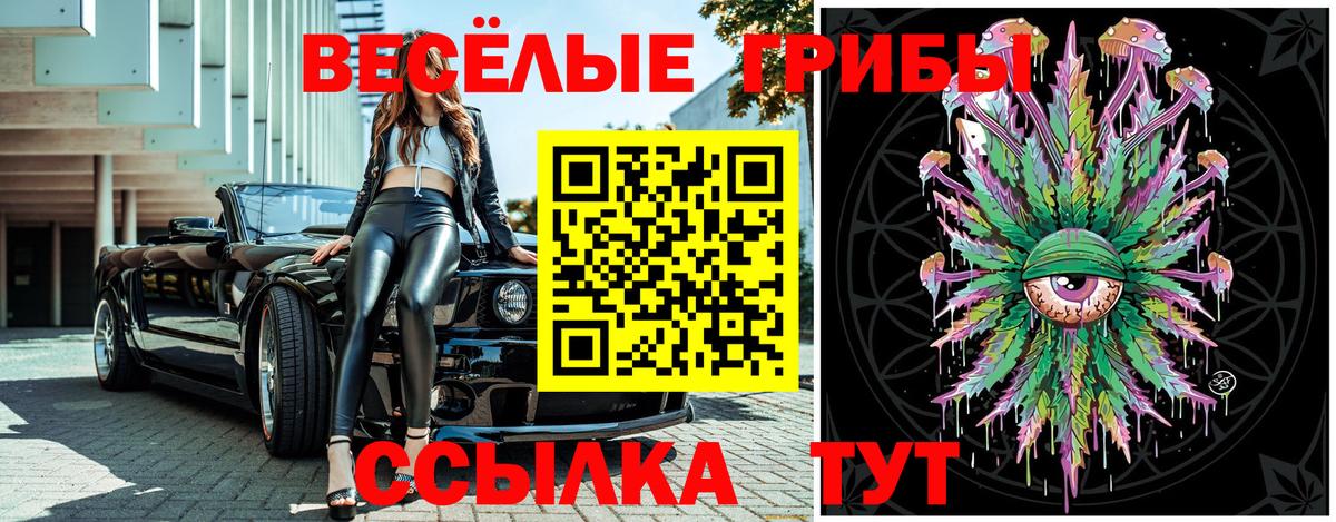 Псилоцибиновые грибы Cubensis  Псилоцибиновые грибы Psilocybine cubensis  Альметьевск 